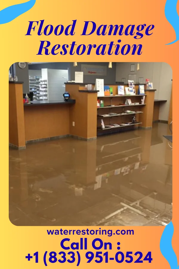 Flood Damage Restoration in Albion, IL