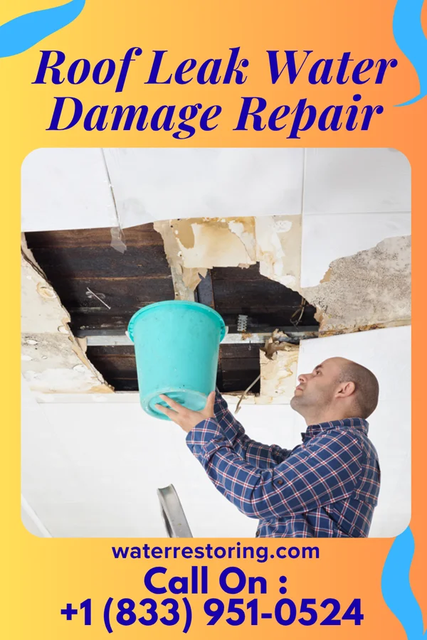 Roof Leak Water Damage Repair in Albion, IL