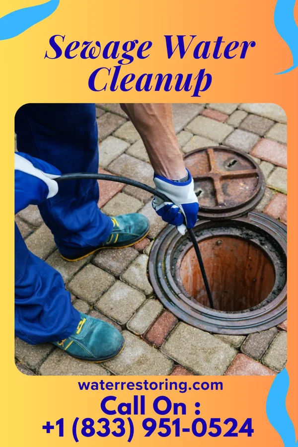 Sewage Water Cleanup in Albion, IL