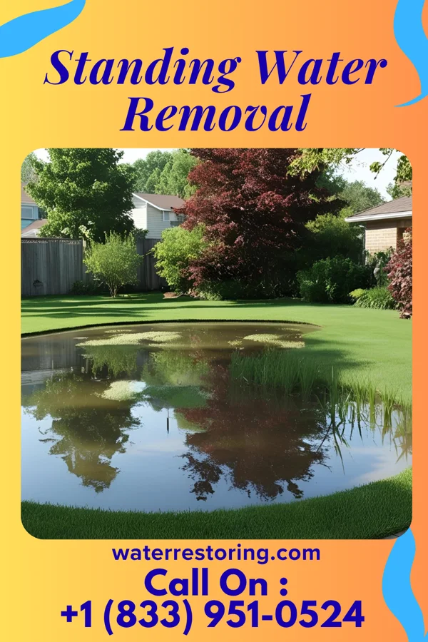 Standing Water Removal in Albion, IL